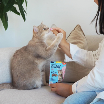 Ласощі для котів GimCat Nutri Pockets Fish Лосось 60г (4002064419626) Ласощі для котів GimCat Nutri Pockets Fish Лосось 60г (4002064419626) | Фото 3