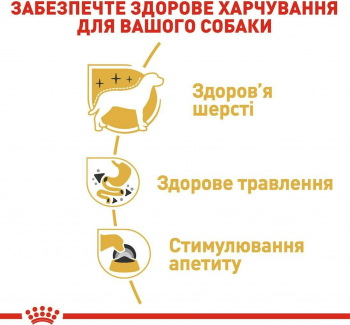 Вологий корм для собак породи Чихуахуа Royal Canin Chihuahua Adult 85г Вологий корм для собак породи Чихуахуа Royal Canin Chihuahua Adult 85г | Фото 3