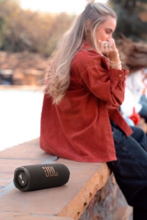 Портативна акустика JBL Flip 7 Black (JBLFLIP7BLK) | Фото 2