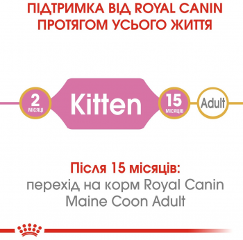 Сухий корм для кошенят породи Мейн-Кун Royal Canin Mainecoon Kitten 400г (3182550770941) Сухий корм для кошенят породи Мейн-Кун Royal Canin Mainecoon Kitten 400г (3182550770941) | Фото 4