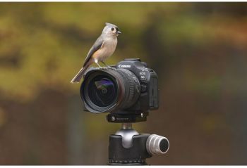 Фотоапарат CANON EOS R6 Mark III + 24-105mm f/4-7.1 IS STM (7084C031) | Фото 5