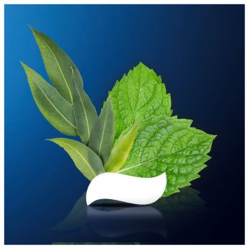 Зубна паста Oral-B Pro-Repair Делікатне відбілювання 75мл (8001090247582) | Фото 2