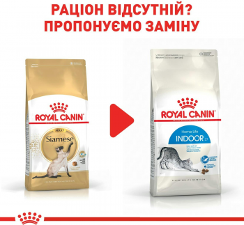 Сухий корм для котів породи Сіамська Royal Canin Siamese Adult 400г Сухий корм для котів породи Сіамська Royal Canin Siamese Adult 400г | Фото 3