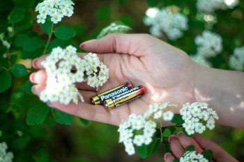 PANASONIC PRO POWER AAA BLI 4 ALKALINE PANASONIC PRO POWER AAA BLI 4 ALKALINE | Фото 3