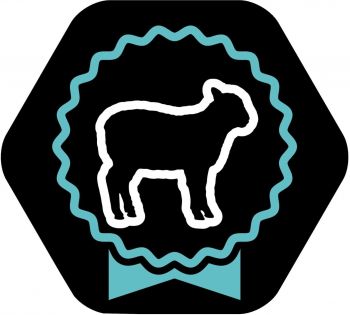 Purina Pro Plan Medium Sensitive ягня, 14 кг (7613035214774) | Фото 3