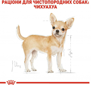 Вологий корм для собак породи Чихуахуа Royal Canin Chihuahua Adult 85г Вологий корм для собак породи Чихуахуа Royal Canin Chihuahua Adult 85г | Фото 5
