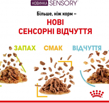Вологий корм для котів Royal Canin Sensory Smell Gravy 85г | Фото 6