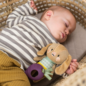 Розвиваюча підвіска-брязкальце TAF TOYS колекції 