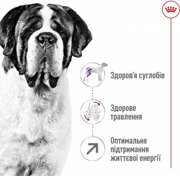 Сухий корм для собак Royal Canin Giant Adult гігантських порід 15кг | Фото 7