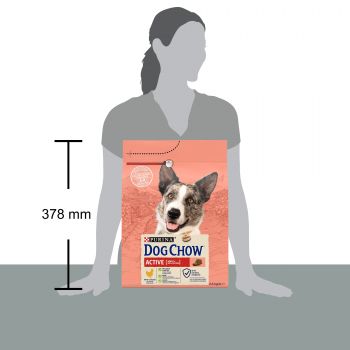 Dog Chow Active Adult p куркою, 2.5 кг (7613034487858) Dog Chow Active Adult p куркою, 2.5 кг (7613034487858) | Фото 6