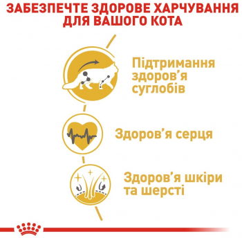 Сухий корм для котів породи Мейн-Кун Royal Canin Mainecoon Adult 10 кг (3182550710664) | Фото 3