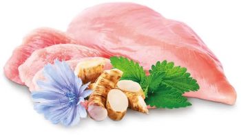 Сухий корм для кошенят до 12 місяців HOME FOOD Курка 1,6кг (4820235020842) | Фото 3