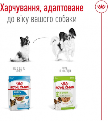 Вологий корм для собак Royal Canin X-Small Adult 85г Вологий корм для собак Royal Canin X-Small Adult 85г | Фото 3