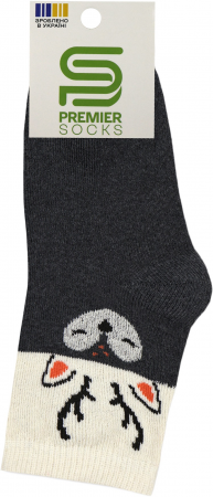 Шкарпетки дитячі махрові Premier Socks 16-18 1 пара темно-сірі (4820203349678) | Фото 2