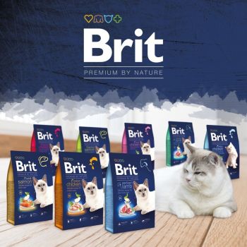 Сухий корм для стерилізованих котів Brit Premium by Nature Cat Sterilised з куркою 0,8 кг(8595602553075) Сухий корм для стерилізованих котів Brit Premium by Nature Cat Sterilised з куркою 0,8 кг(8595602553075) | Фото 10