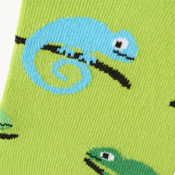 Шкарпетки дитячі Duna 27-30 1 пара салатові з принтом Хамелеон (4823094645959) | Фото 3