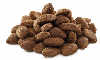 Сухий корм для собак Brit Premium Sport із підвищеними фіз. навантаженнями зі смаком курки 15 кг (8595602526673) | Фото 3