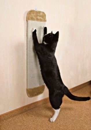 Trixie плоска 11х56см натуральна (4011905431819) | Фото 2