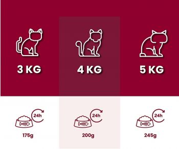 Корм вологий для котів Carny мультим'ясний коктейль 400 г (4017721837187) | Фото 5