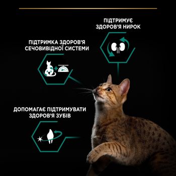 Сухий корм для стерилізованих котів Pro Plan Sterilised Adult 1+ Renal Plus з лососем 14кг (7613287887597) | Фото 6
