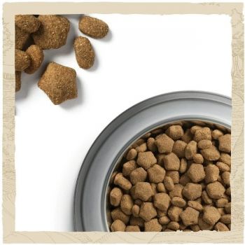 Purina Dog Chow для схильних до алергії, з лососем, 14 кг (7613034488244) Purina Dog Chow для схильних до алергії, з лососем, 14 кг (7613034488244) | Фото 6