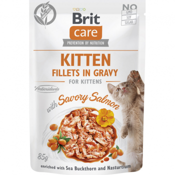 Вологий корм для кошенят Brit Care Fillets in Gravy з лососем 85г | Фото 1