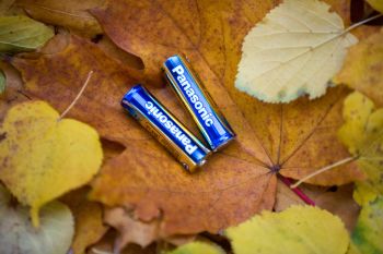 PANASONIC EVOLTA AAA BLI 2 ALKALINE (LR03EGE/2BP) | Фото 4