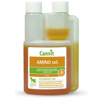 Універсальний комплекс вітамінів Сanvit Amino sol у період росту, вагітності та лактації 250 мл (b57100) | Фото 1