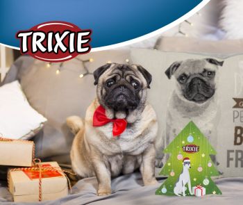 Миска для собак Trixie-брахіцефалів метал 0,7л 27 см (4047974252017) | Фото 3