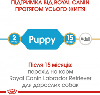 Сухий корм для цуценят породи Лабрадор-ретрівер Royal Canin Labrador Puppy 12кг Сухий корм для цуценят породи Лабрадор-ретрівер Royal Canin Labrador Puppy 12кг | Фото 8