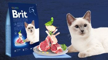 Brit Premium by Nature Cat Sterilized Lamb з ягням 0,3 кг (8595602553006) | Фото 3