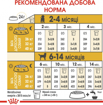 Сухий корм для цуценят породи Лабрадор-ретрівер Royal Canin Labrador Puppy 12кг Сухий корм для цуценят породи Лабрадор-ретрівер Royal Canin Labrador Puppy 12кг | Фото 4