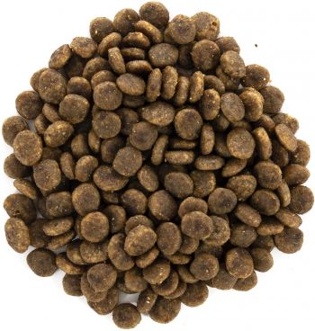 Сухий корм Brit Care Cat GF Sensitive Digestion & Delicate Taste з індичкою та лососем, 7кг (8595602540693) Сухий корм Brit Care Cat GF Sensitive Digestion & Delicate Taste з індичкою та лососем, 7кг (8595602540693) | Фото 2