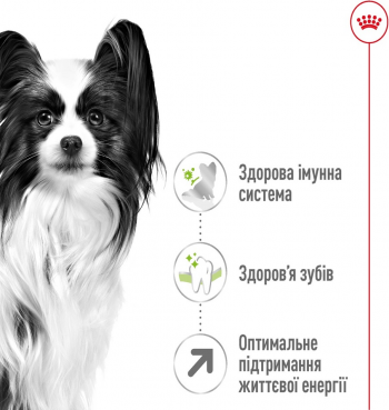 Сухий корм для собак Royal Canin X-Small Adult 8+ мініатюрних порід старше 8 років 3кг Сухий корм для собак Royal Canin X-Small Adult 8+ мініатюрних порід старше 8 років 3кг | Фото 6