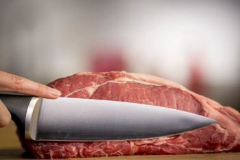 Набір ножів TEFAL Ice Force, 5пр., з дерев'яною колодкою (K232S574) Купить набор кухонных ножей Набір ножів TEFAL Ice Force, 5пр., з дерев'яною колодкою (K232S574) | Фото 11