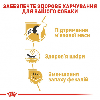 Сухий корм для собак породи Французький бульдог Royal Canin French Bulldog Adult 1.5кг Сухий корм для собак породи Французький бульдог Royal Canin French Bulldog Adult 1.5кг | Фото 4