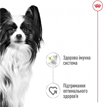 Вологий корм для собак Royal Canin X-Small Adult 85г Вологий корм для собак Royal Canin X-Small Adult 85г | Фото 2