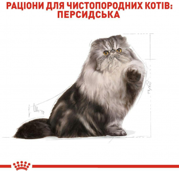 Сухий корм для котів породи Перська Royal Canin Persian Adult 2кг Сухий корм для котів породи Перська Royal Canin Persian Adult 2кг | Фото 6