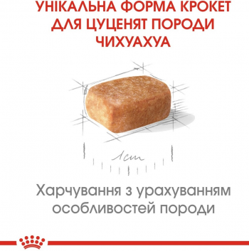 Сухий корм для цуценят породи Чихуахуа Royal Canin Chihuahua Puppy 0.5кг | Фото 6