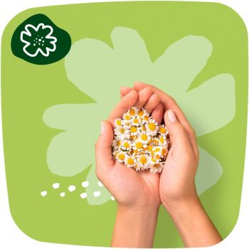 Прокладки гігієнічні Naturella Ultra Normal Plus Розмір 2 9шт | Фото 8