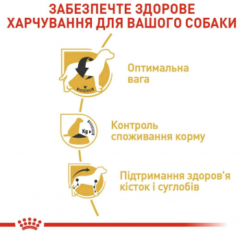 Сухий корм для собак породи Бігль Royal Canin Beagle Adult 3кг (3182550821766) Сухий корм для собак породи Бігль Royal Canin Beagle Adult 3кг (3182550821766) | Фото 4