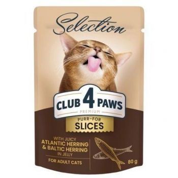 Вологий корм для дорослих котів Club 4 Paws Premium Plus Selection шмат/ оселедця та салаки в желе | Фото 1
