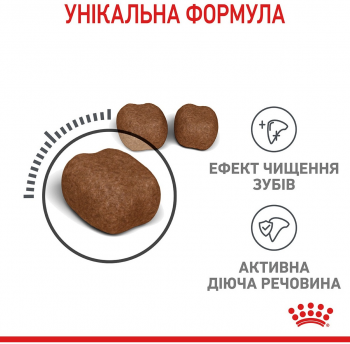 Сухий корм для котів Royal Canin Dental Care для зменшення утворення зубного нальоту та каменю 1.5кг | Фото 6