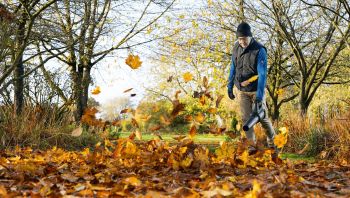 Повітродув садовий BOSCH AdvancedLeafBlower 36В-750 (0.600.8C6.000) Повітродув садовий BOSCH AdvancedLeafBlower 36В-750 (0.600.8C6.000) | Фото 13