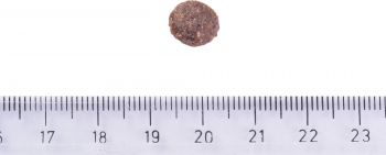  Brit Care Dog Hypoallergenic Puppy гіпоалергенний з ягням 3кг (8595602558964) | Фото 3