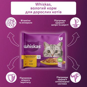 Вологий корм для котів WHISKAS курка, індичка в желе 4х85 г (4770608263676) | Фото 4