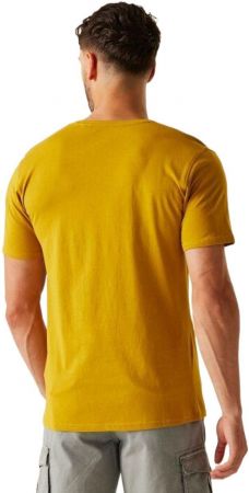 Футболка чоловіча Regatta ClineIX RMT296-6CH S жовта (5063516005421) | Фото 6