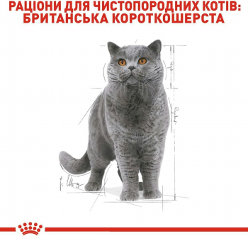 Сухий корм для котів породи Британська короткошерста Royal Canin British Shorthair Adult 4кг (3182550756440) Сухий корм для котів породи Британська короткошерста Royal Canin British Shorthair Adult 4кг (3182550756440) | Фото 2