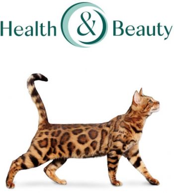 Вологий корм Optimeal для дорослих котів 4*85г | Фото 4