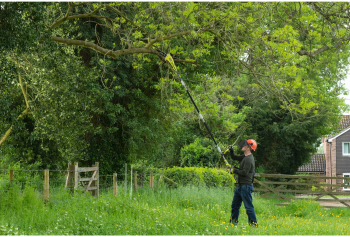 Висоторіз ланцюговий акумуляторний RYOBI RY36PP25A-0, 36В MAX POWER, без АКБ та ЗП (5133005786) Купить ручной садовый инструмент Висоторіз ланцюговий акумуляторний RYOBI RY36PP25A-0, 36В MAX POWER, без АКБ та ЗП (5133005786) | Фото 8